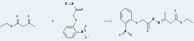 The 2-(2-Nitrophenoxy)acetohydrazide could react with acetoacetic acid ethyl ester to obtain the 3-{[(2-nitro-phenoxy)-acetyl]-hydrazono}-butyric acid ethyl ester